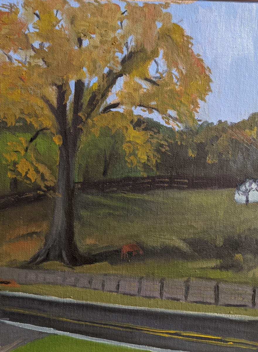 Sundown Pin Oak by Margo Lehman 