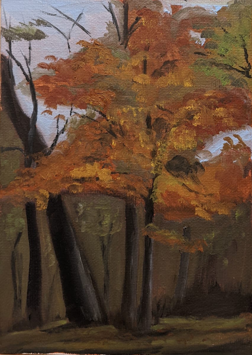 Last of the Color 2020 by Margo Lehman 