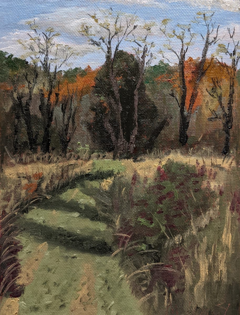 Meadow Path, Late Autumn by Margo Lehman 