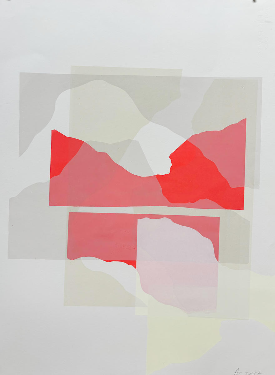IMG_1251_ccrmms_13 by Amy Reckley, Image 1.