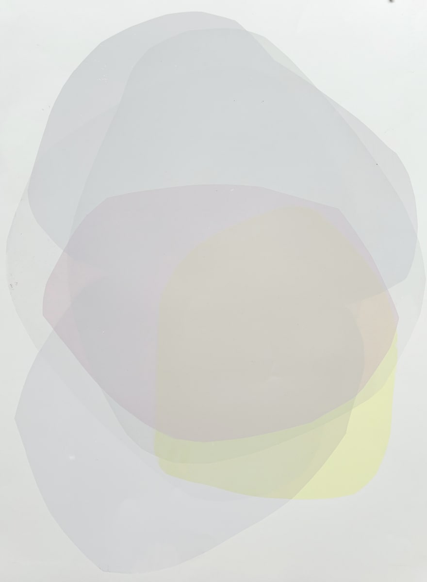 IMG_1258-2_jqhtbx_7 by Amy Reckley, Image 7.