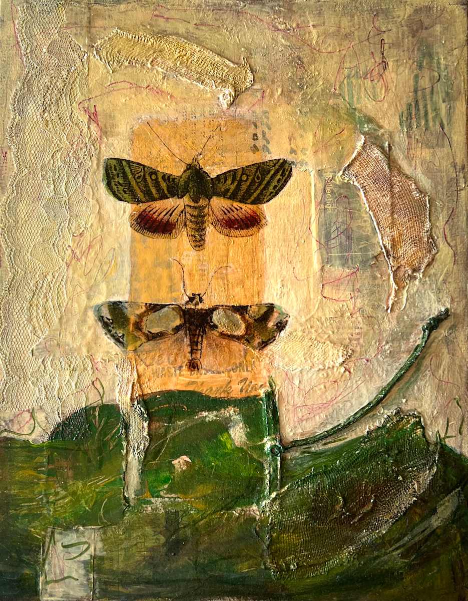 Moths by Darline Braz, Image 1.