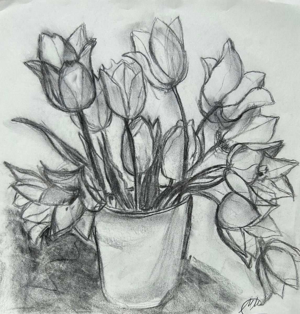 Tulips by Marina Marinopoulos 