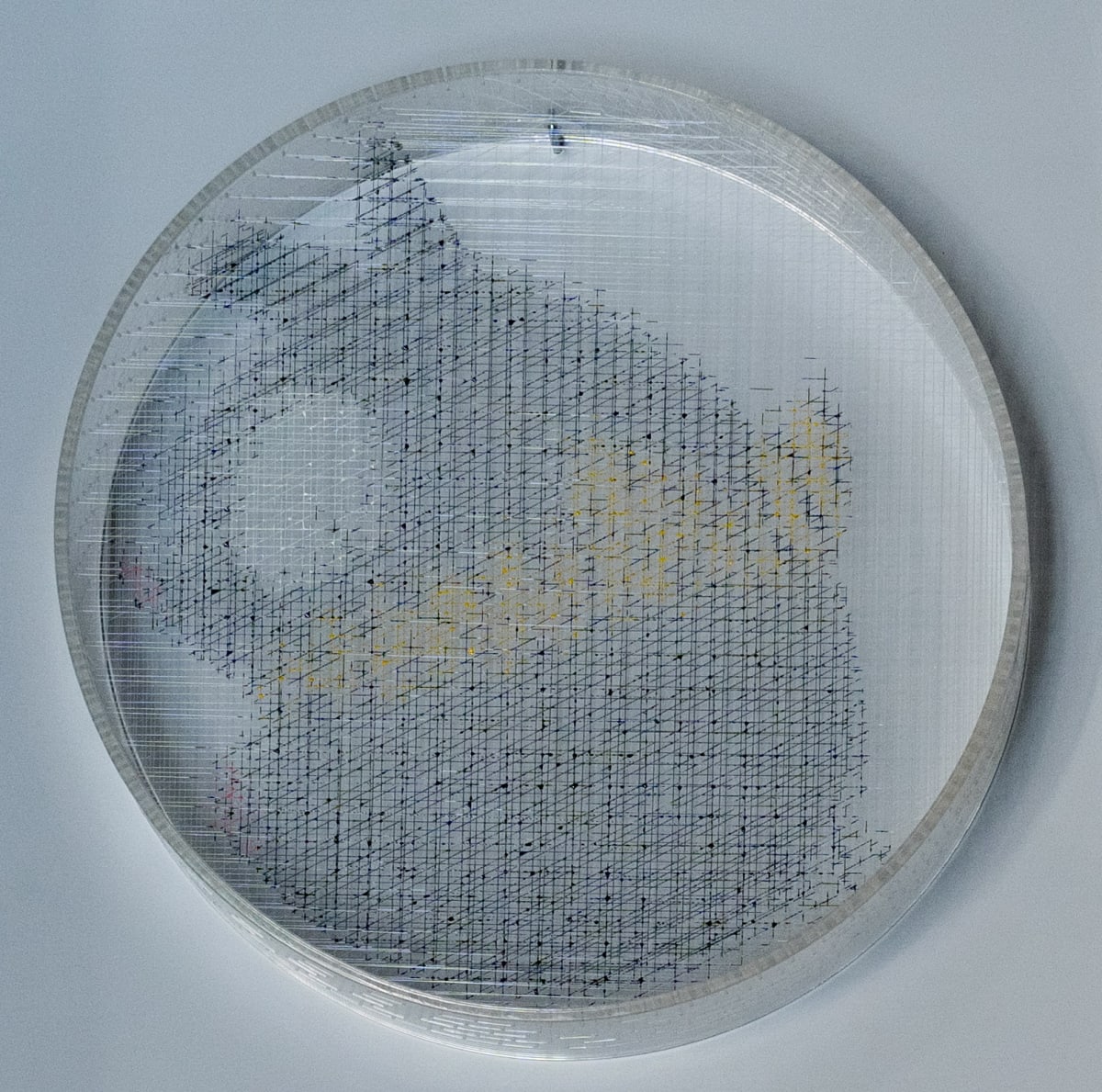 我們的曾經-76 亂馬2/1-小P We Used To-76 by 廖敏君 LIAO Min-Chun 