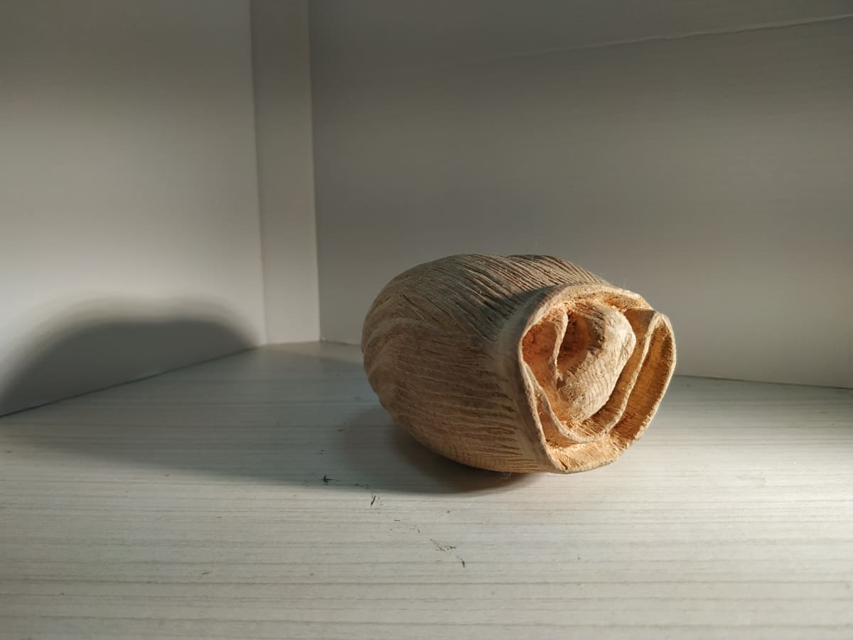 收納系列-襪子 Sock by 賀泉融 HE Cheny Rong 