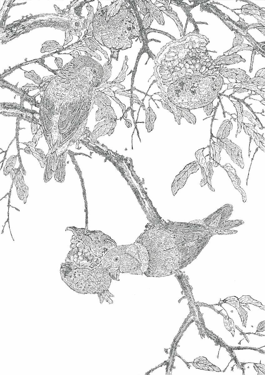 秋 Autumn by 佐垣慶多 SAGAKI Keita 