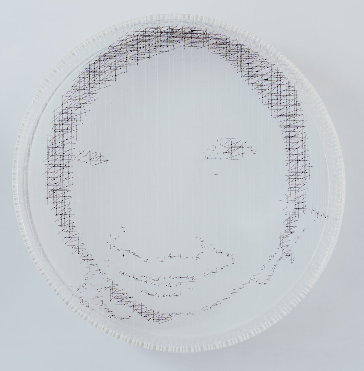 曖曖-變形記3-6  Dimmer and Dimmer – Metamorphosis‐3-6 by 廖敏君 LIAO Min-Chun 