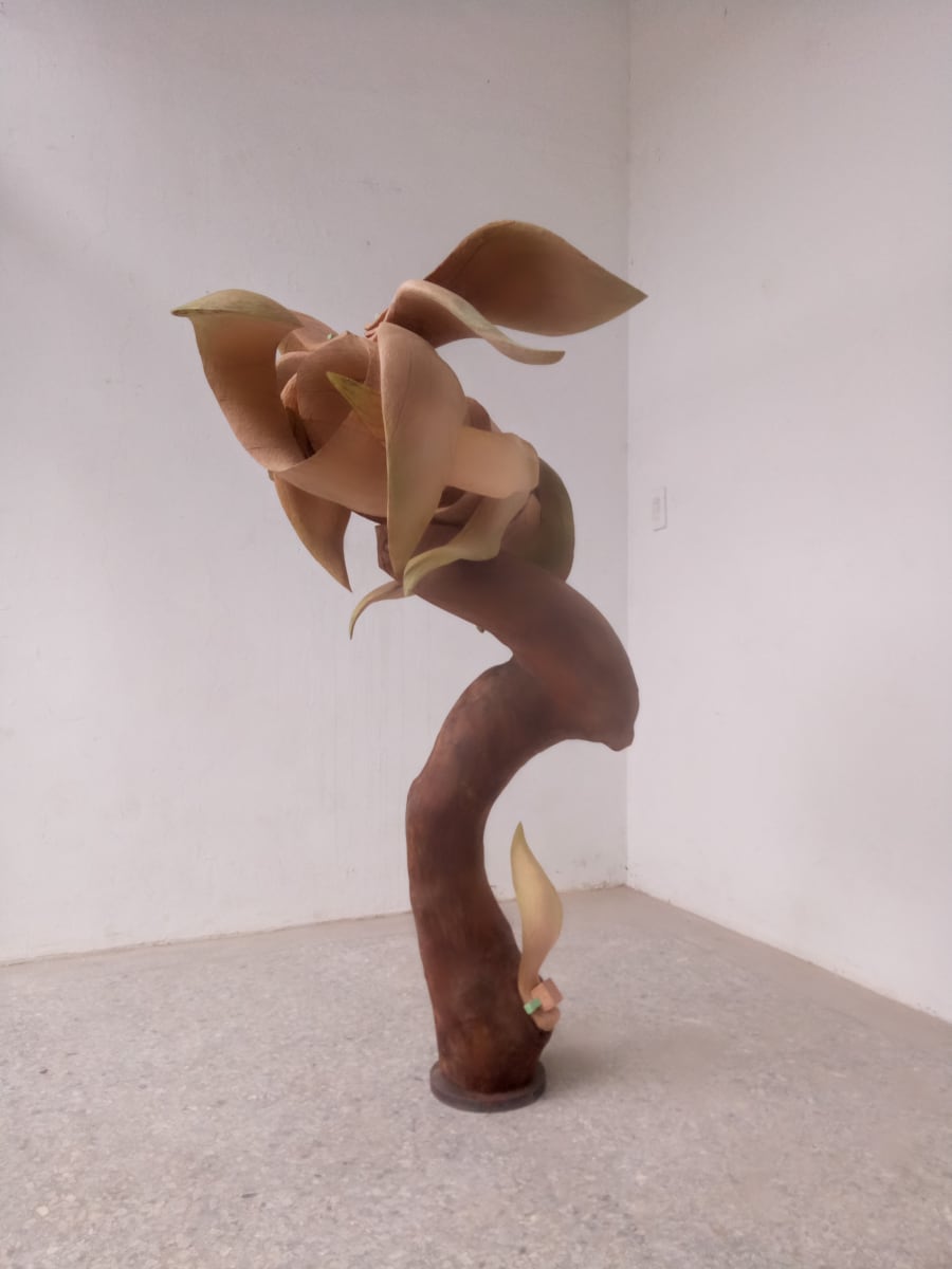 隨風搖曳的樹葉 Blow in the Wind by 芝田典子 SHIBATA Noriko 