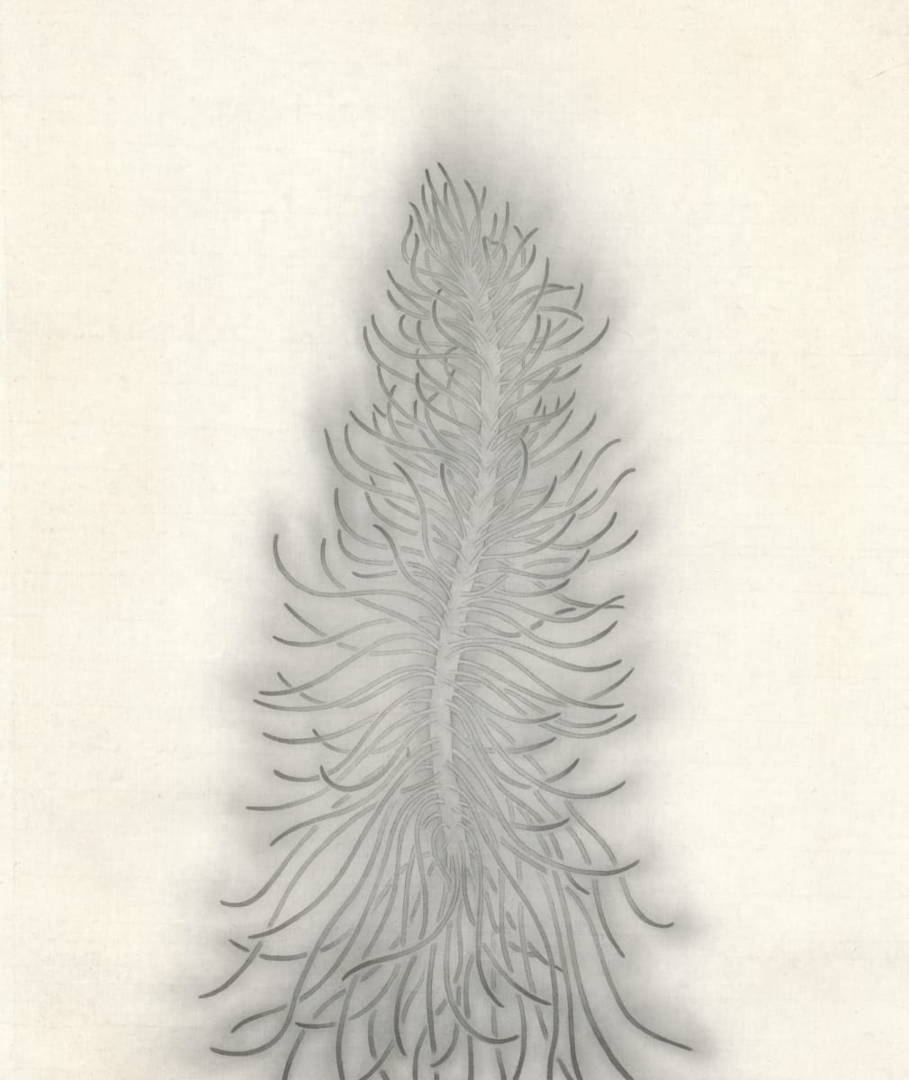 浮游花草 II Planktonic Plant II by 洪千惠 HUNG Chien Hui 