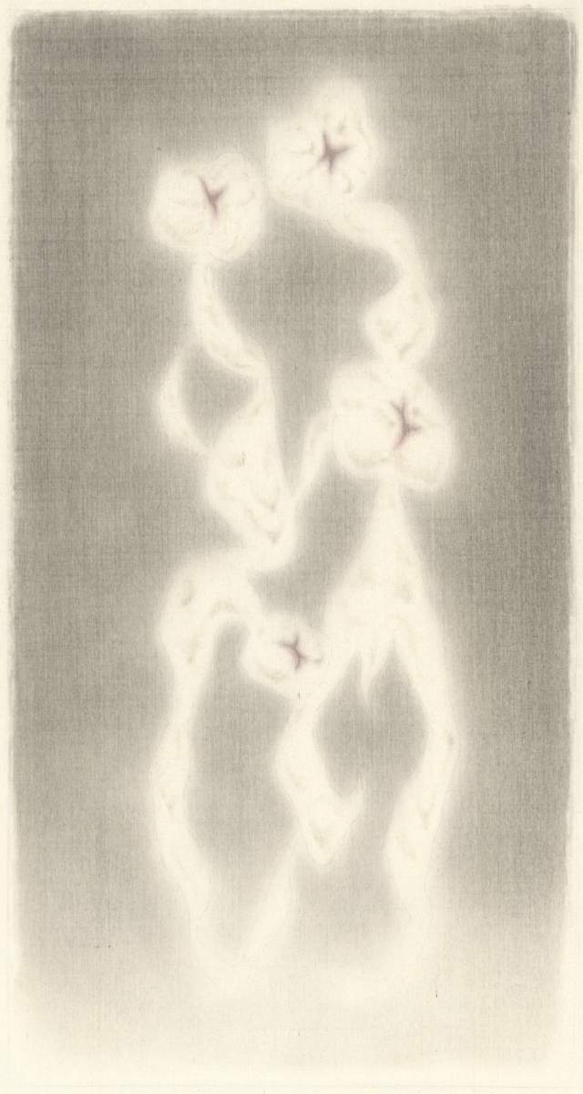 連理 Intertwined Branches by 洪千惠 HUNG Chien Hui, Image 1.