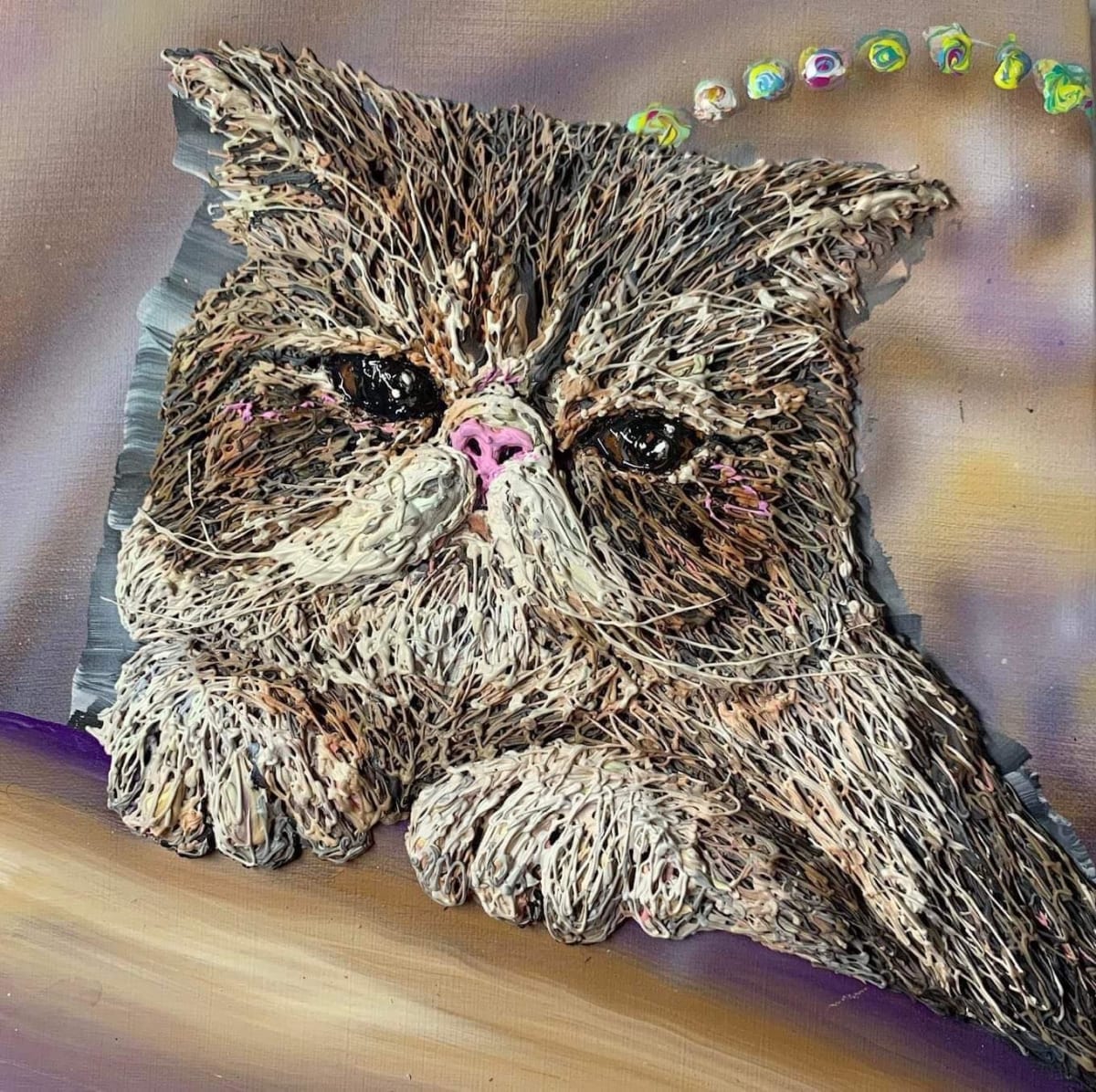 異國短毛貓 Exotic Shorthair by 高橋淳 TAKAHASHI Atsushi 