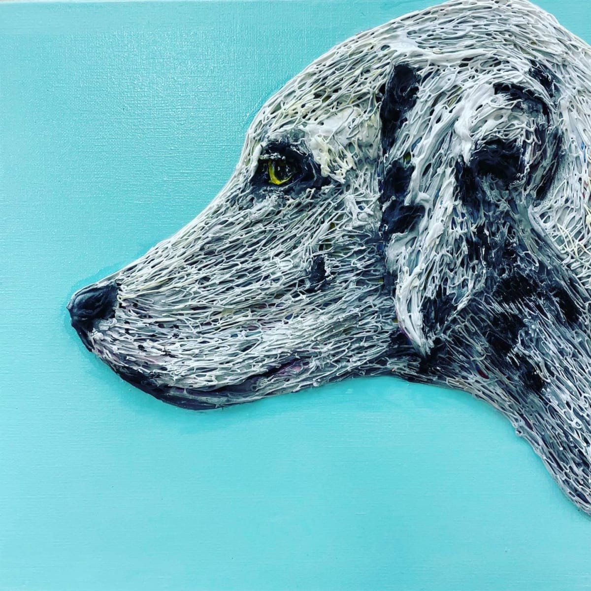 大麥町 Dalmatian by 高橋淳 TAKAHASHI Atsushi 