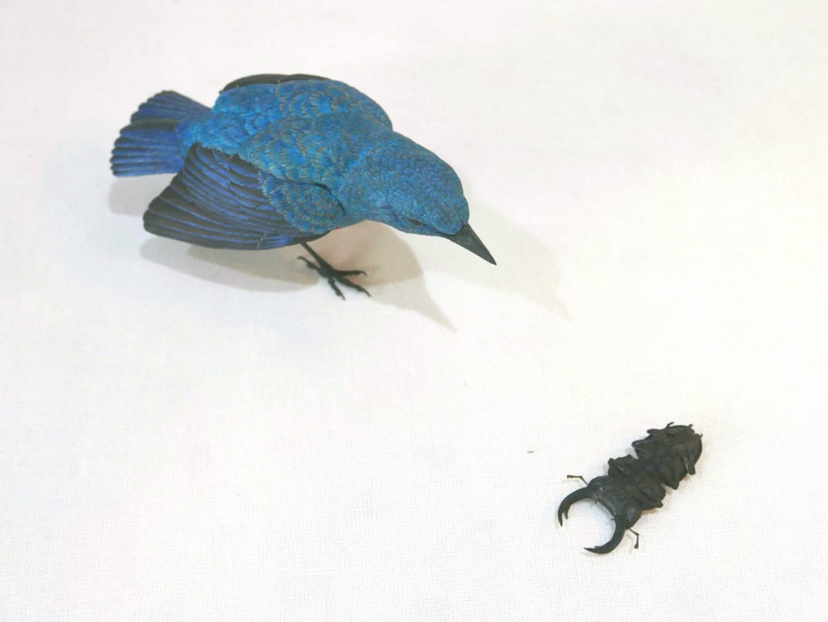 裝死的雄鹿甲蟲和藍岩耳鵯 Playing Dead Stag Beetle and Blue Bulbul by 門永哲郎 TETUROU Kadonaga, Image 3.