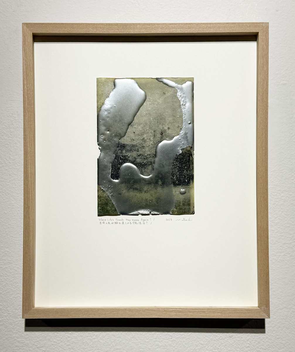 當生命再次交織 1  When Lives Intertwine Again 1 by 西村大樹 Daiki NISHIMURA, Image 2.