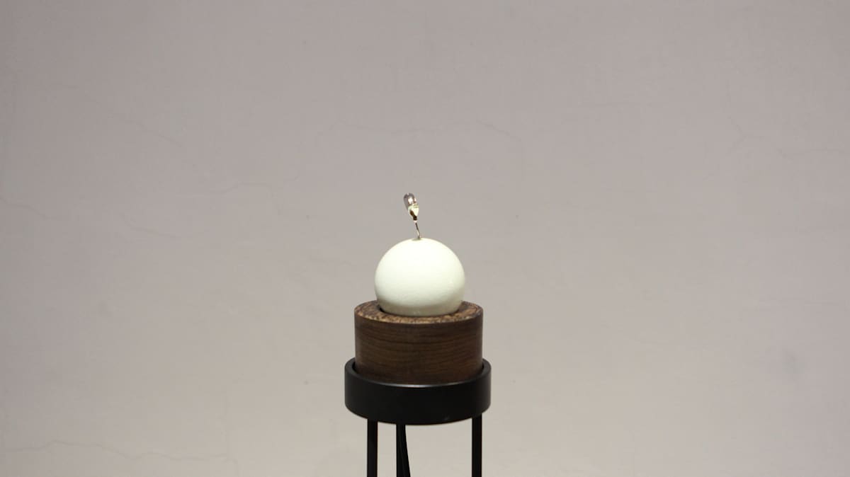 共生苗-儲存(銀) Symbiotic Seedlings- The Carrier (Silver) by 陳漢聲 CHEN Han Sheng, Image 4.