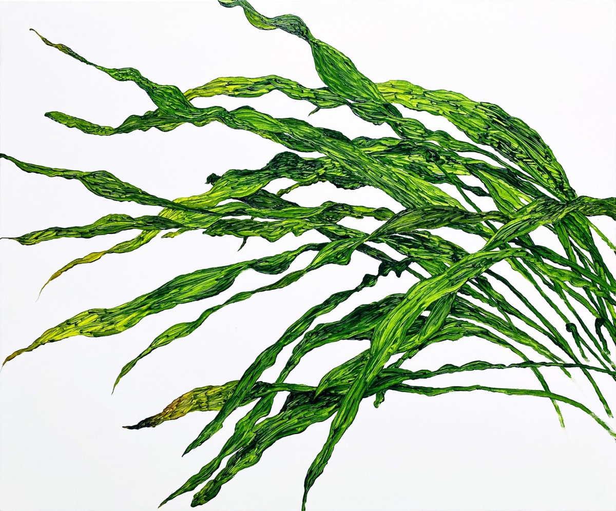 植物習作IX Study for plants IX by 張善學 CHANG San Hsueh 