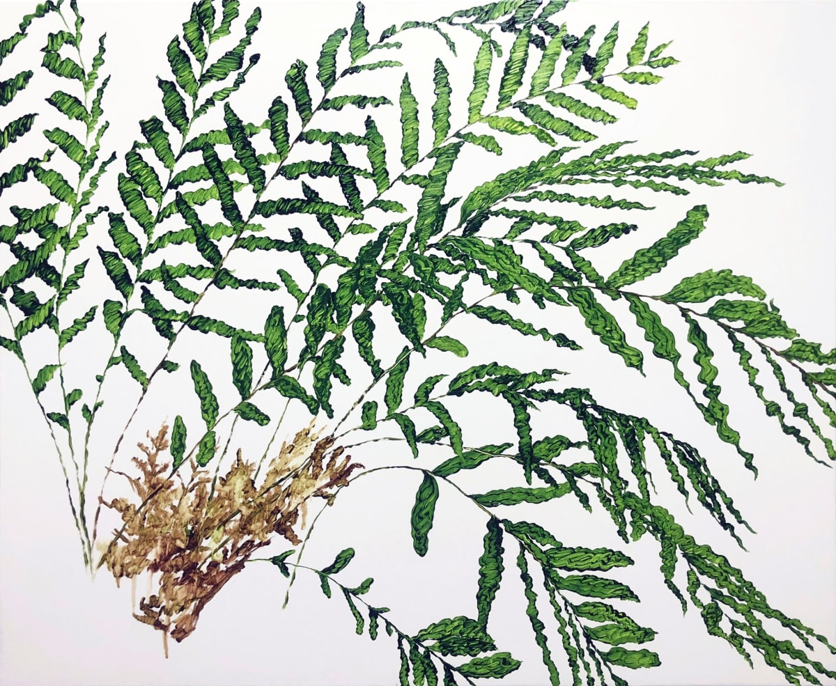 植物習作VII Study for plants VII by 張善學 CHANG San Hsueh 