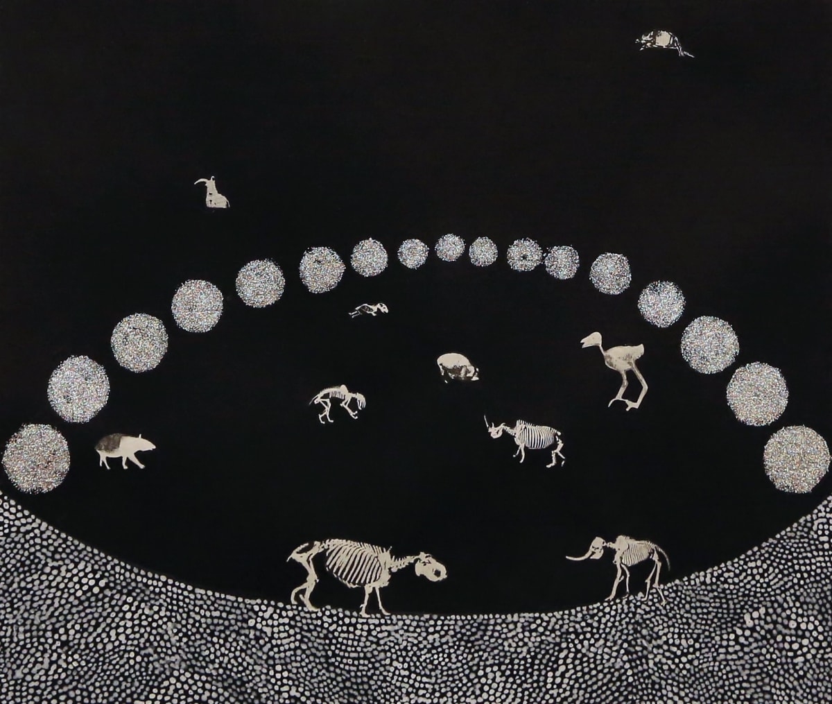 掠食者 (8) Predator (8) by 陶綱 TAO Kang 