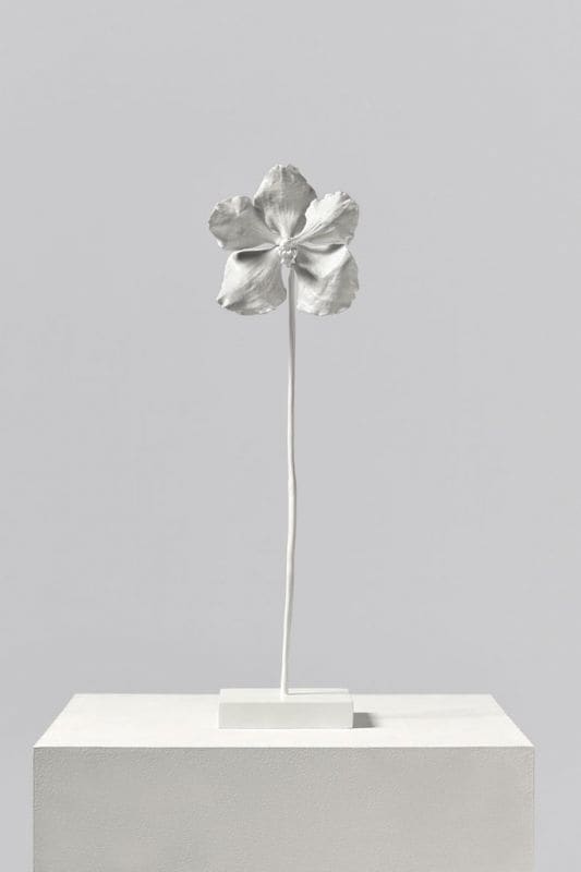 冬季的世界 Winter World by 馬克‧昆恩 Marc Quinn, Image 2.