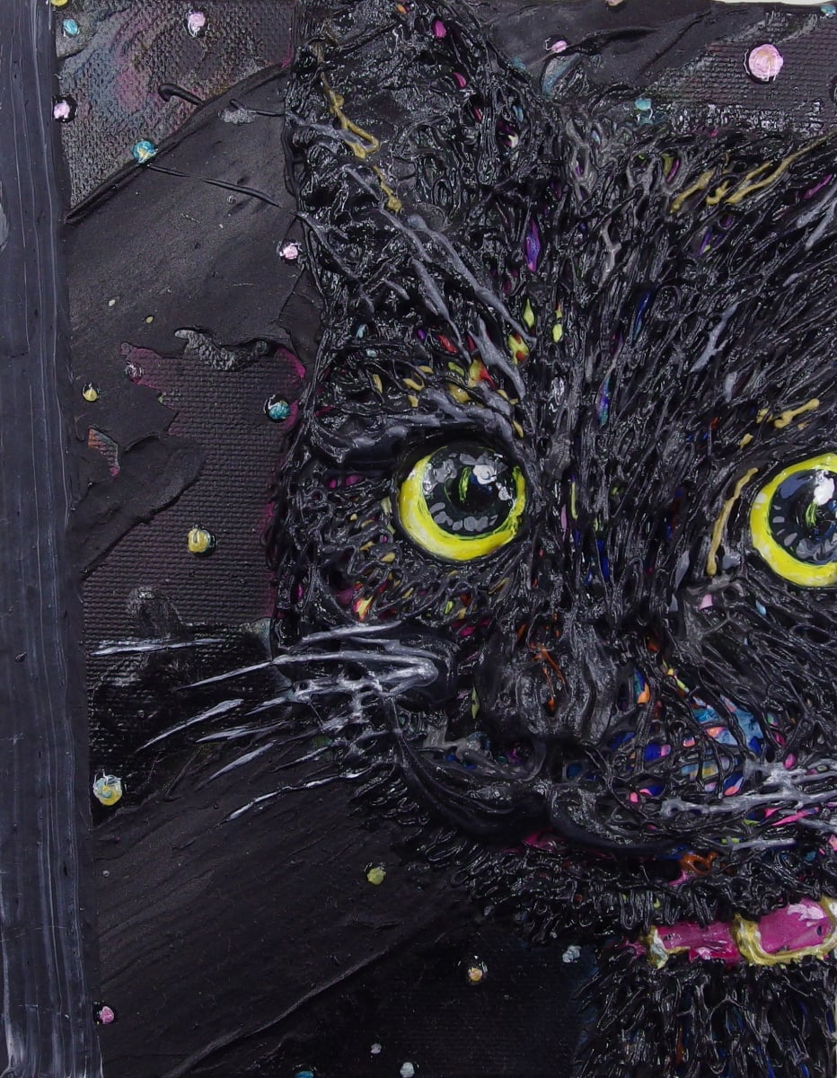 B貓 B Cat by 高橋淳 TAKAHASHI Atsushi, Image 1.