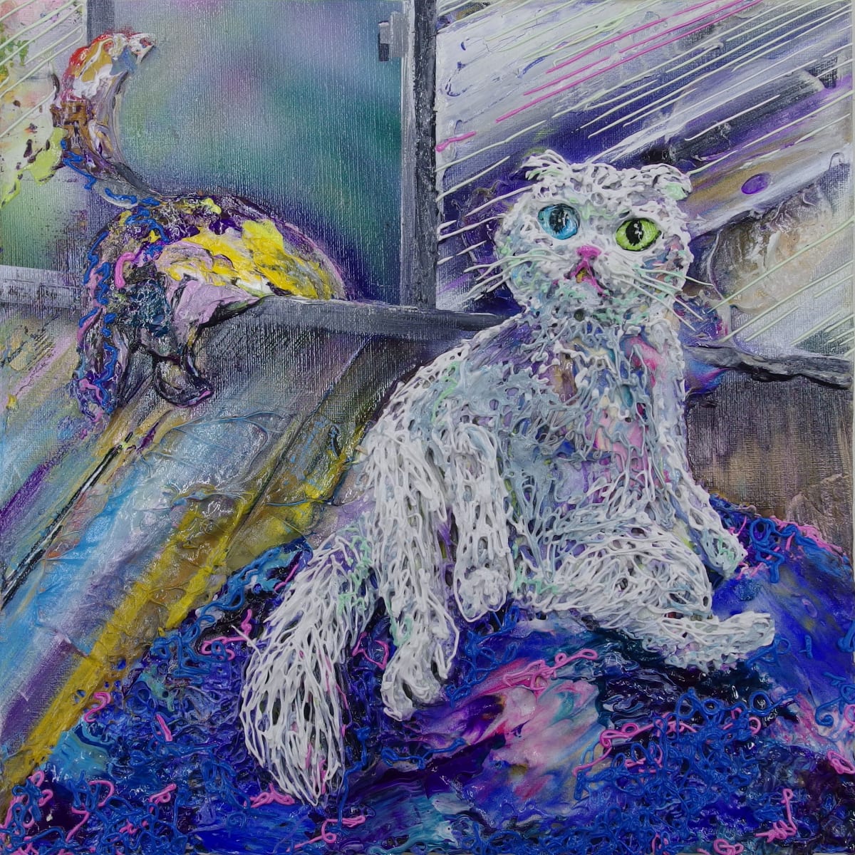蘇格蘭摺耳貓 Scottish Fold by 高橋淳 TAKAHASHI Atsushi, Image 1.