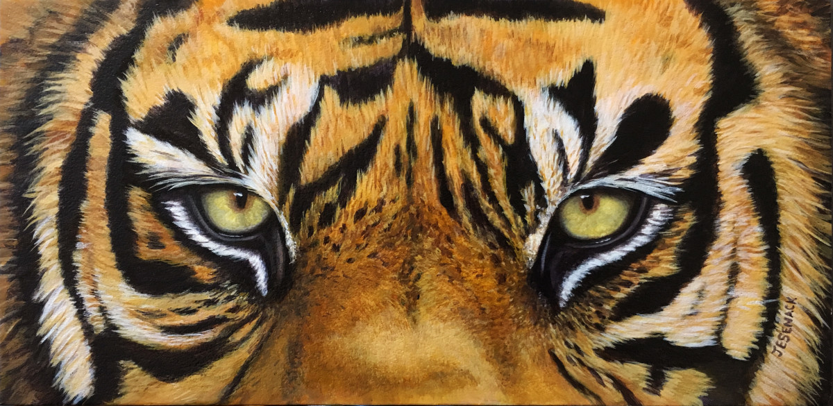 Download Tiger Eyes by J Elaine Senack | Artwork Archive