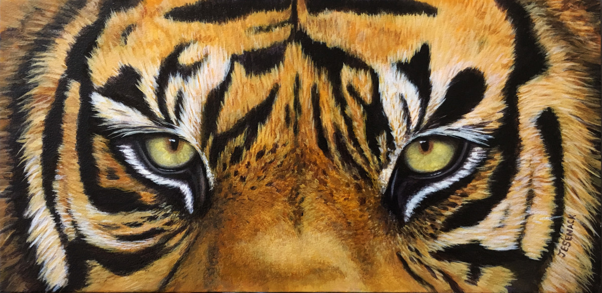 tiger eyes images