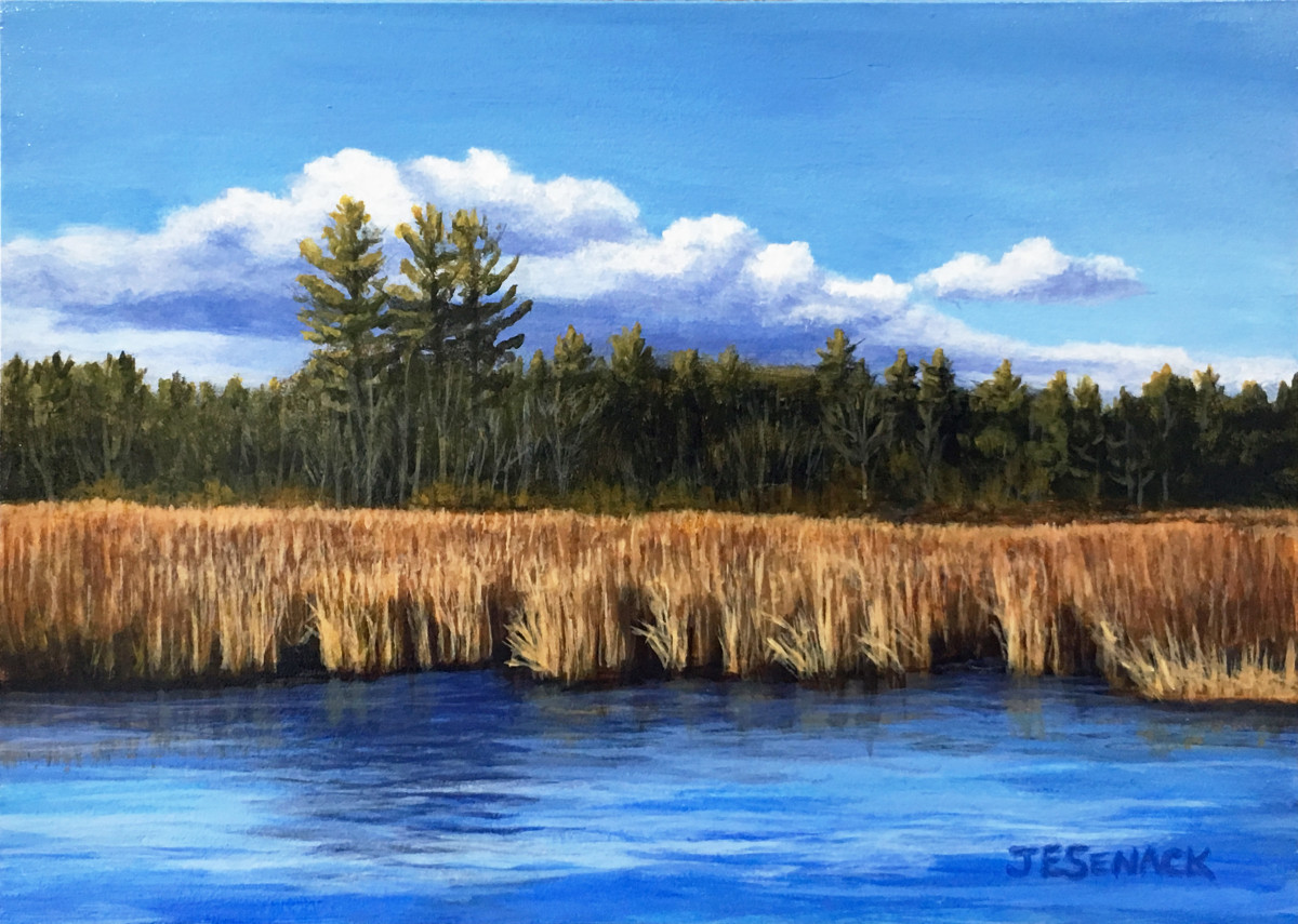 #296 Marsh in Autumn by J Elaine Senack 