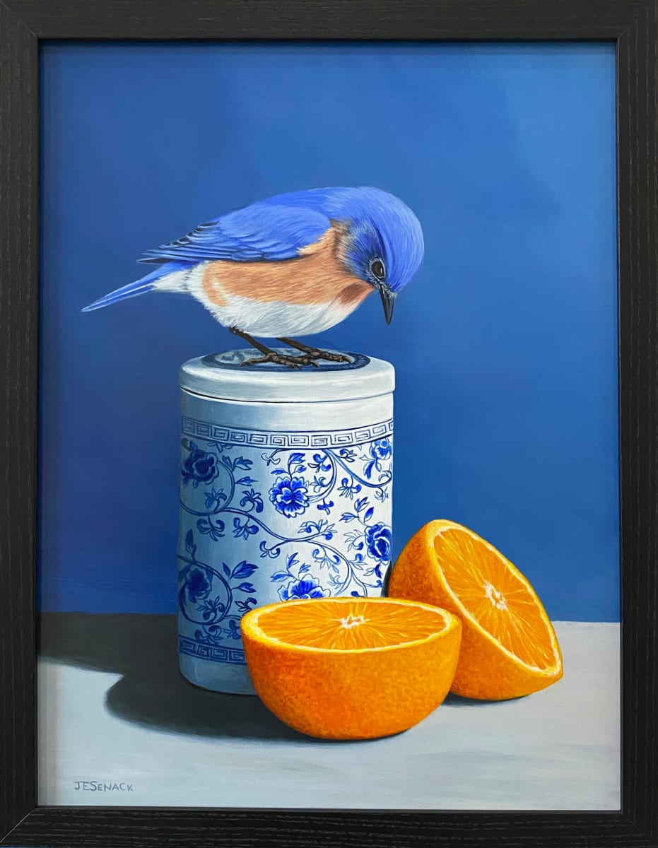 #372 Eastern Bluebird with Orange by J Elaine Senack 