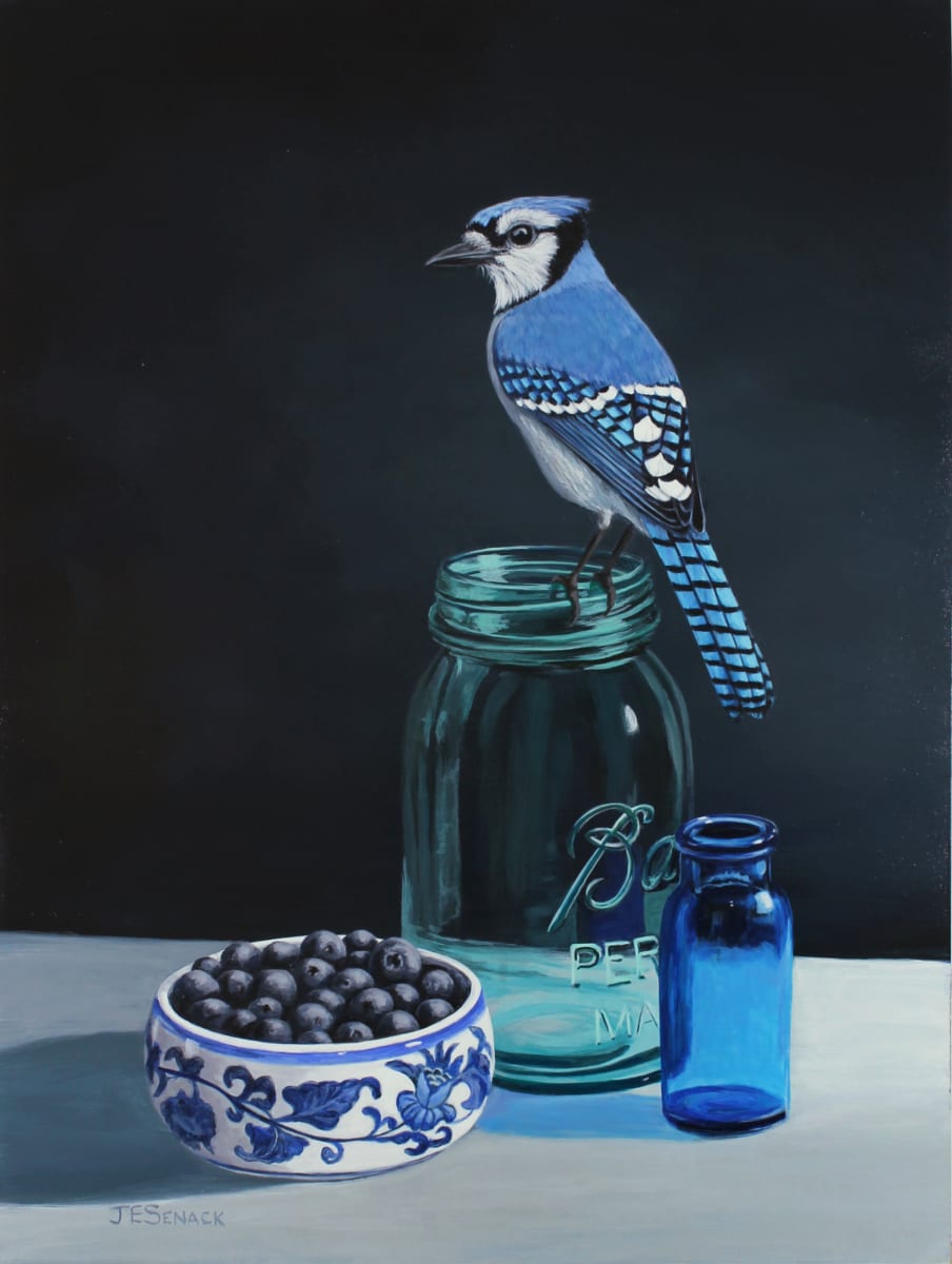 B is for Blue (Blue Jay) by J Elaine Senack 