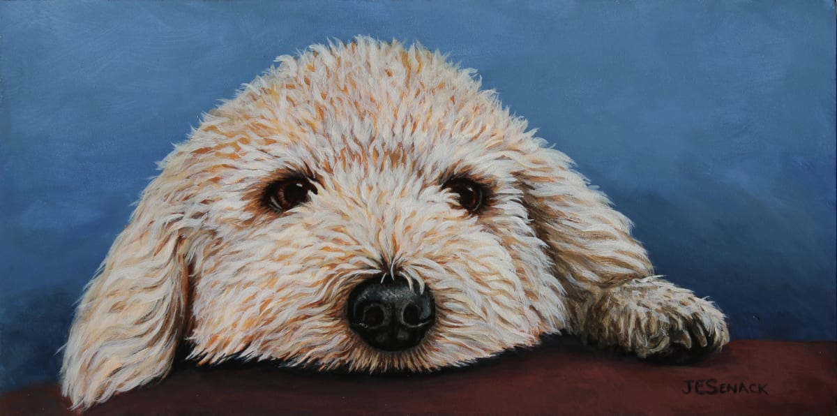 Patiently Waiting (Goldendoodle) 