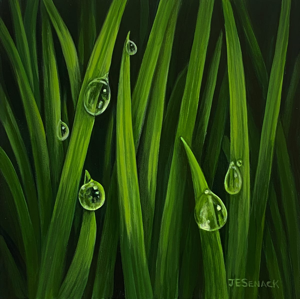 Dewdrops by J Elaine Senack 