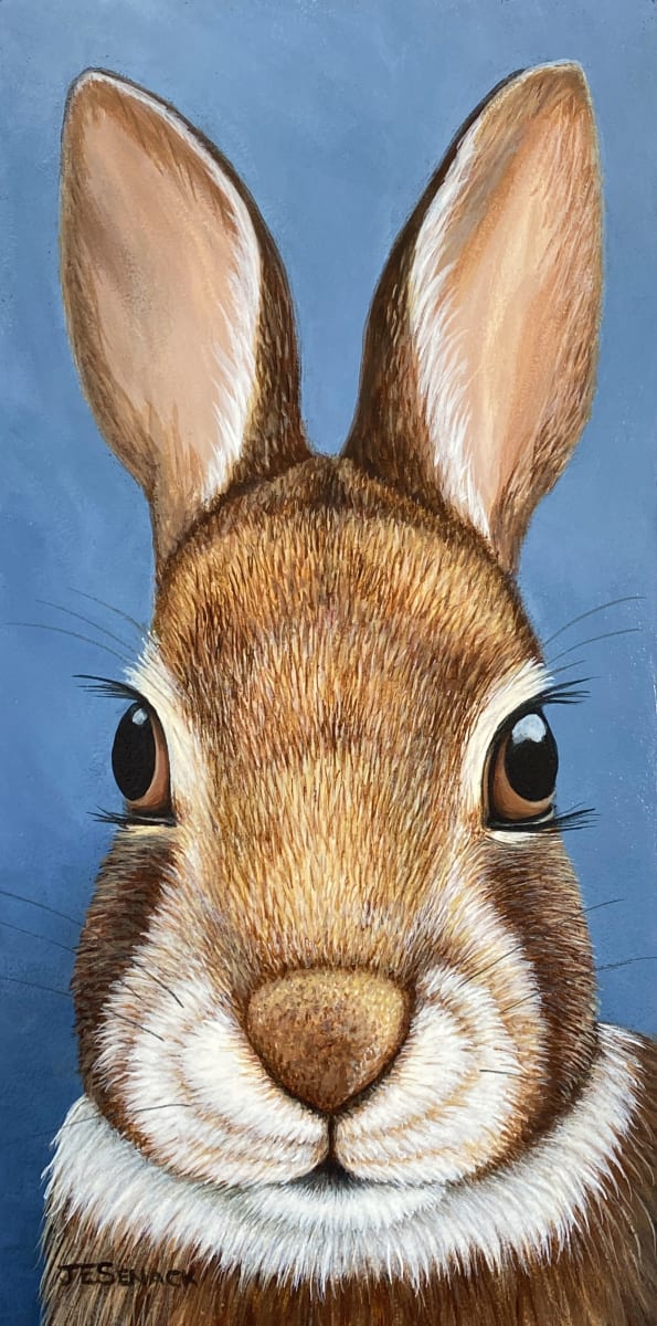 #361 Bright Eyes (Cottontail) by J Elaine Senack 