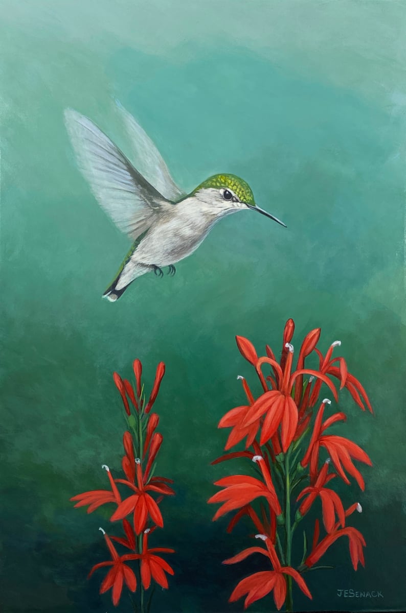 #321 Hummingbird and Cardinal Flower by J Elaine Senack 