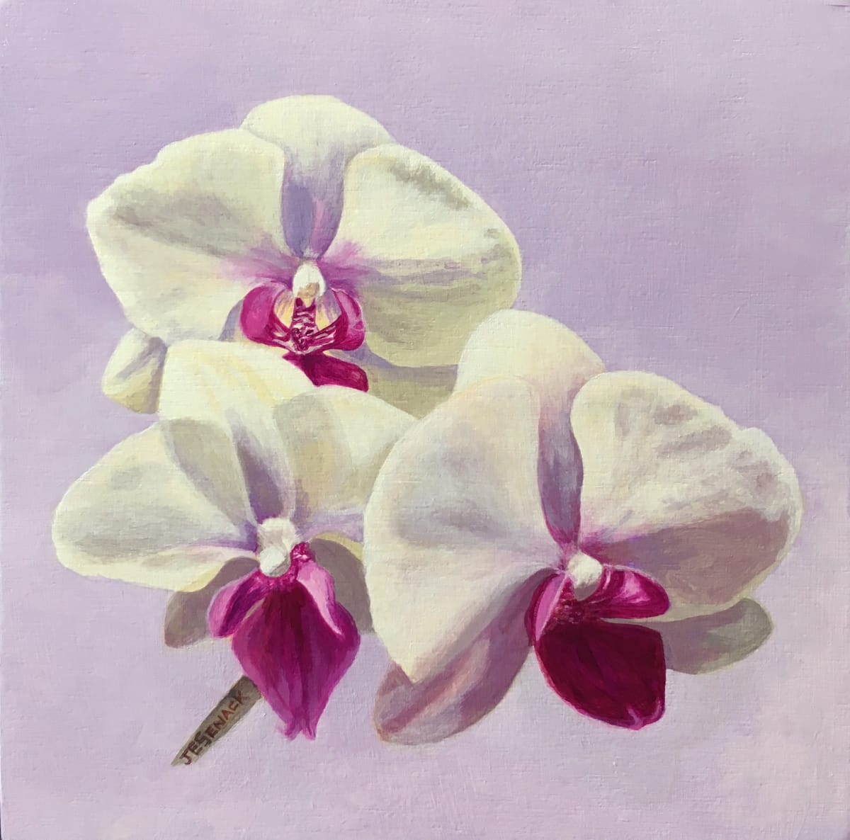 #281 Orchids - Phalaenopsis by J Elaine Senack 