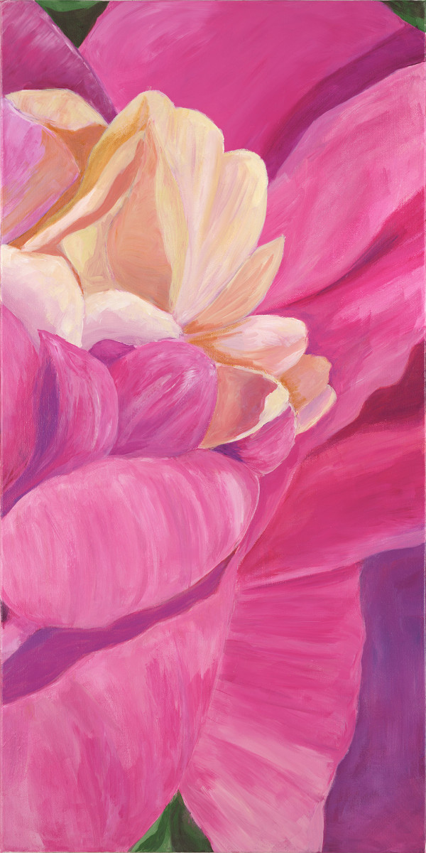 Pink Peony by Leslie Cline 