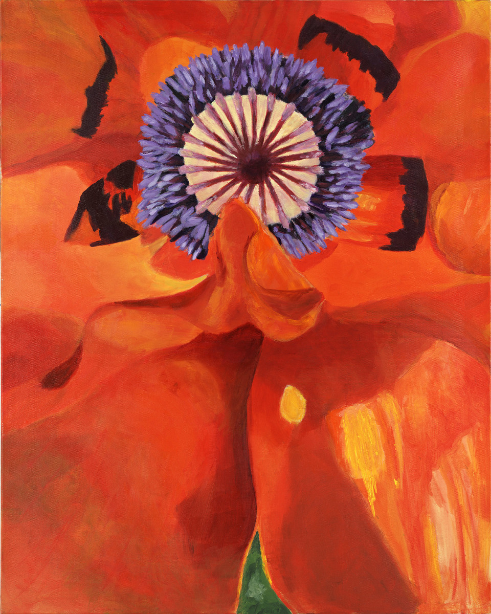 Red Poppy 1 by Leslie Cline 