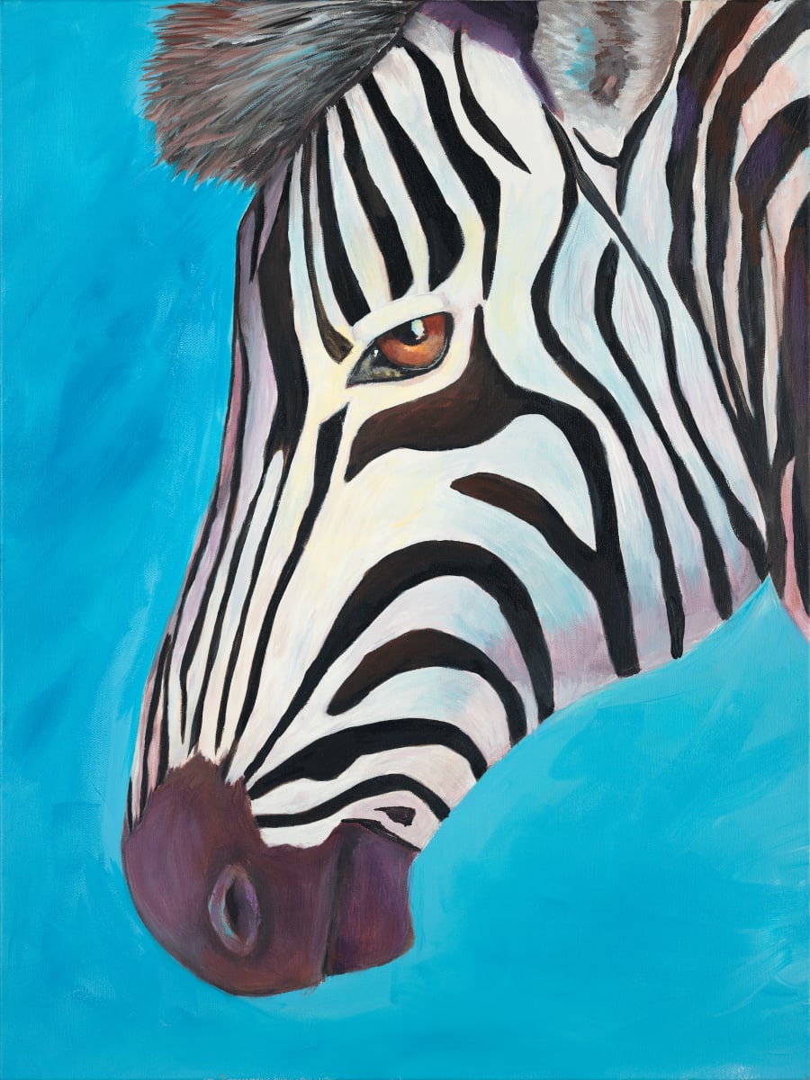 Look me in eye - Zebra 