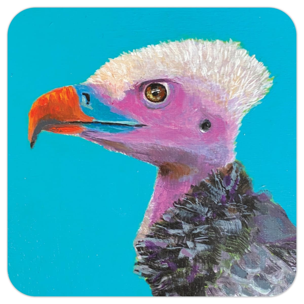 Coaster - bird- whiteheadedvulture by Leslie Cline 