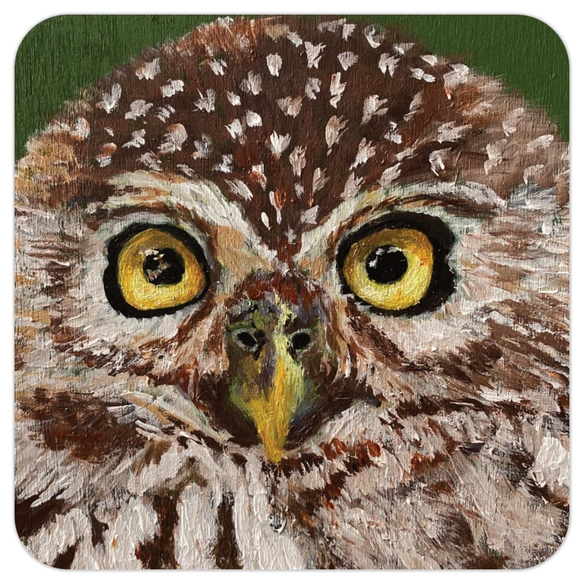 Coaster - bird - owlcloseup by Leslie Cline 