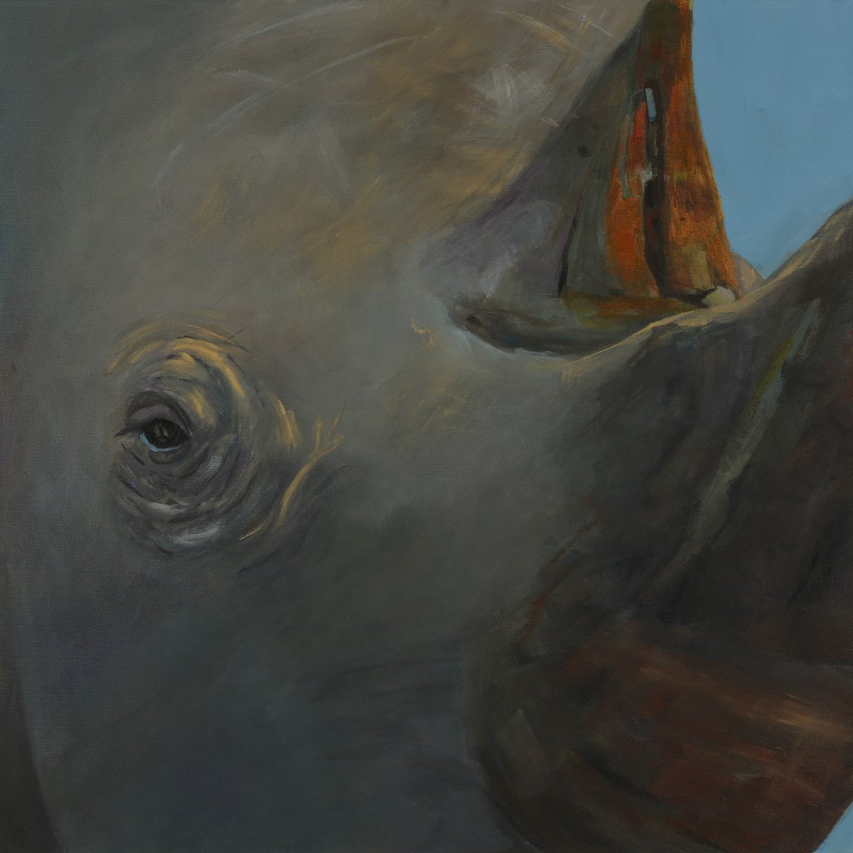 Look me in the eye - rhino by Leslie Cline 