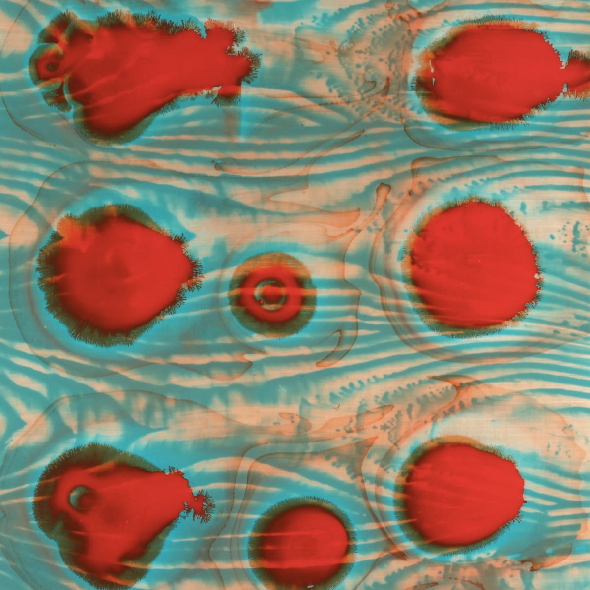 #100dayproject 85/100 by Mary Zeran, Image 1.