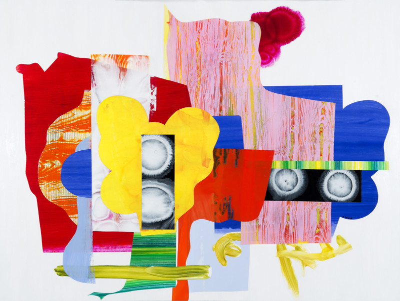 Another Shot at the Carnival by Mary Zeran 