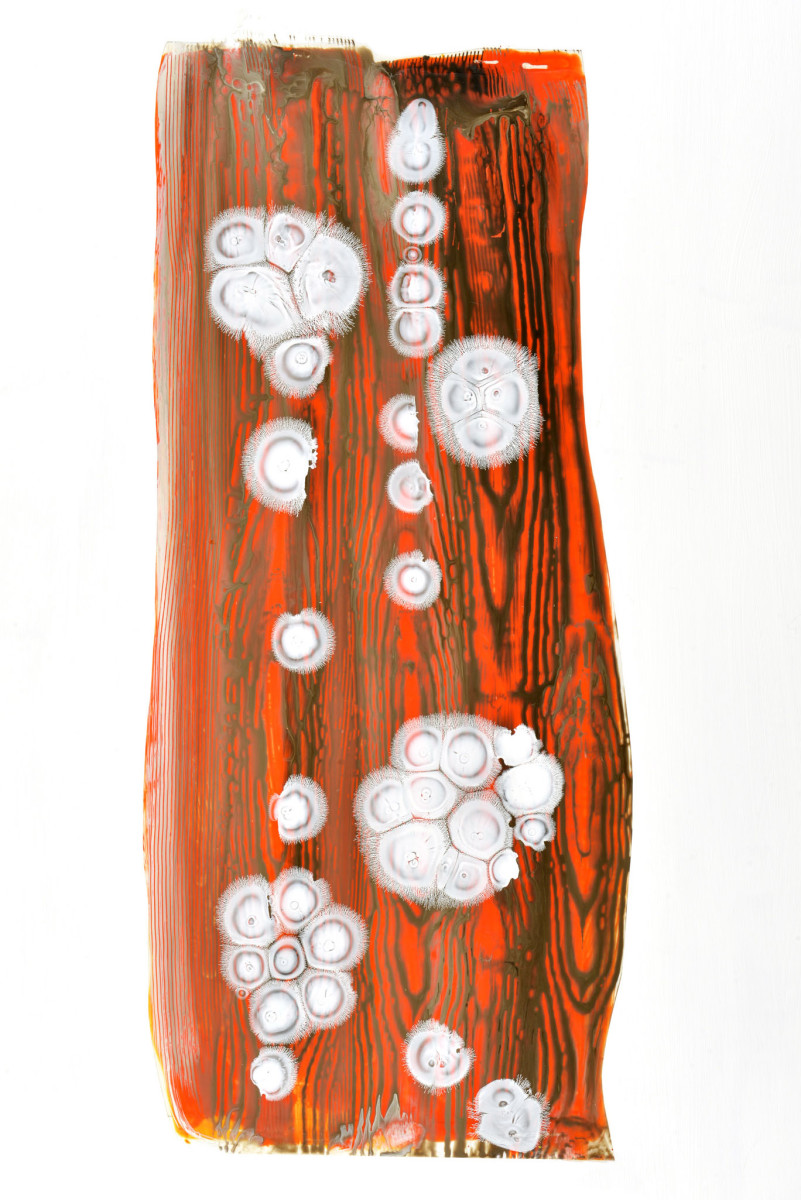 Just Right #1 by Mary Zeran, Image 1.