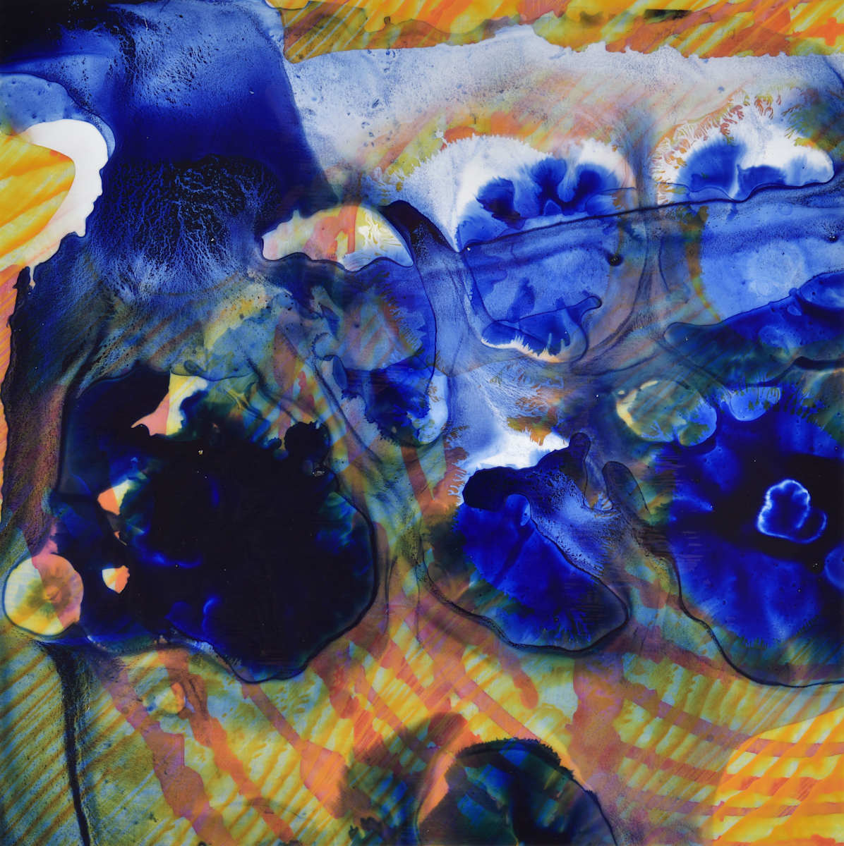 102/100 by Mary Zeran, Image 1.