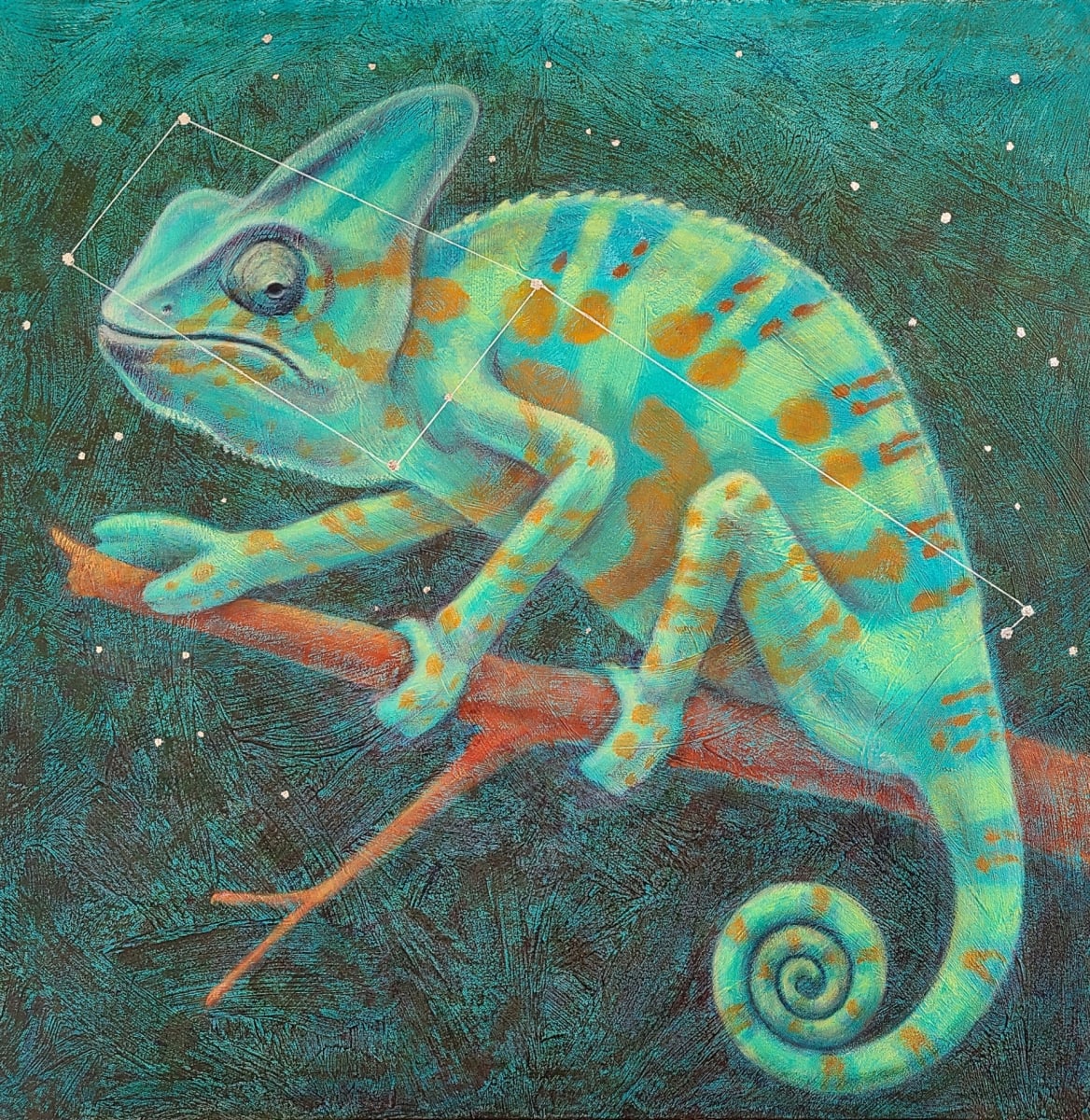 Constellation Chamaeleon by Lisa Bohnwagner 