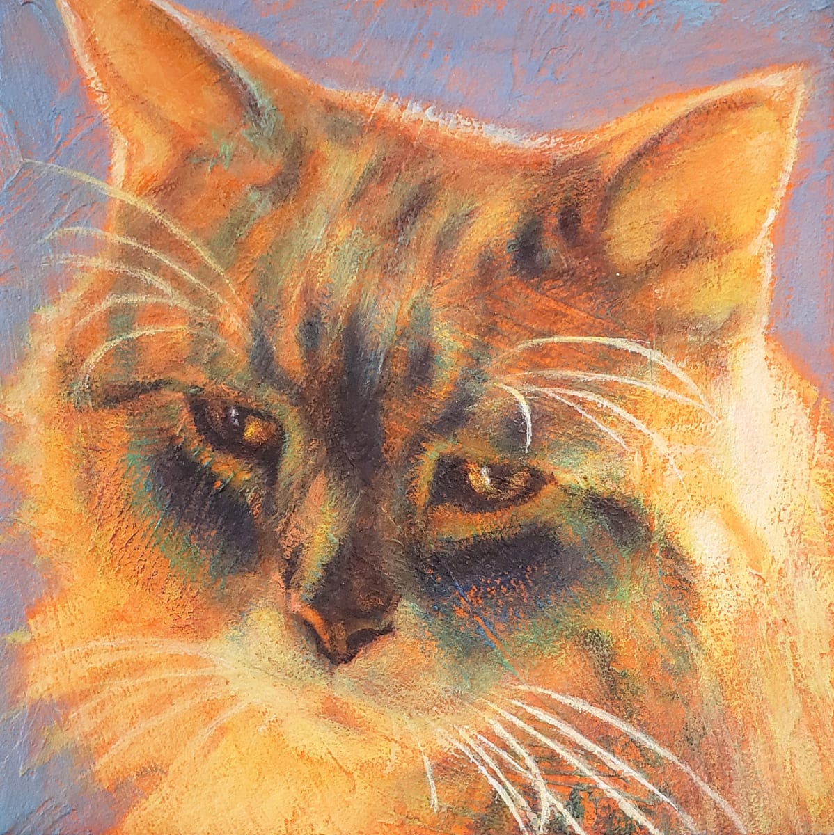 Golden Hour by Lisa Bohnwagner 