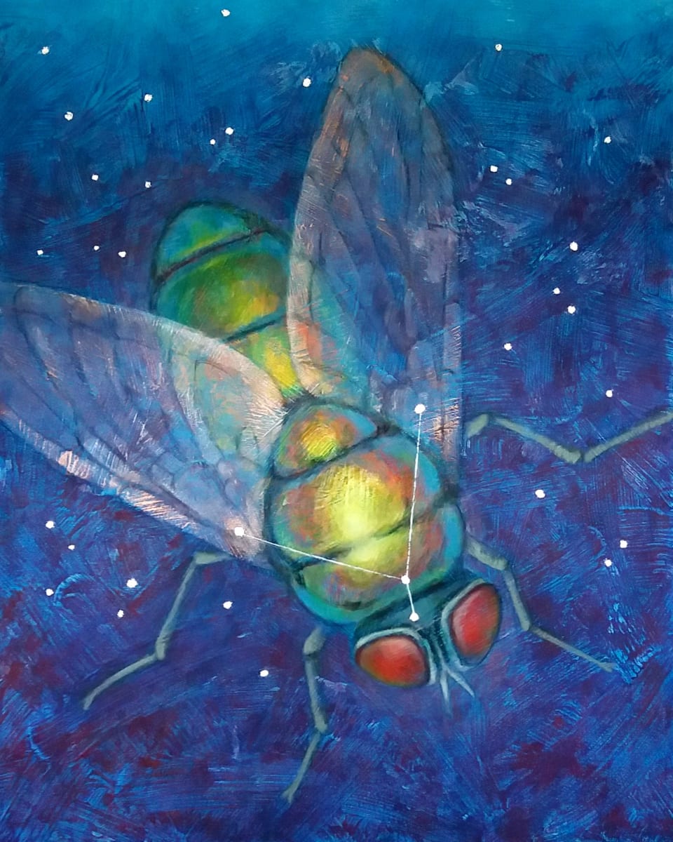 Photon Fly (lost constellation Musca Borealis) 