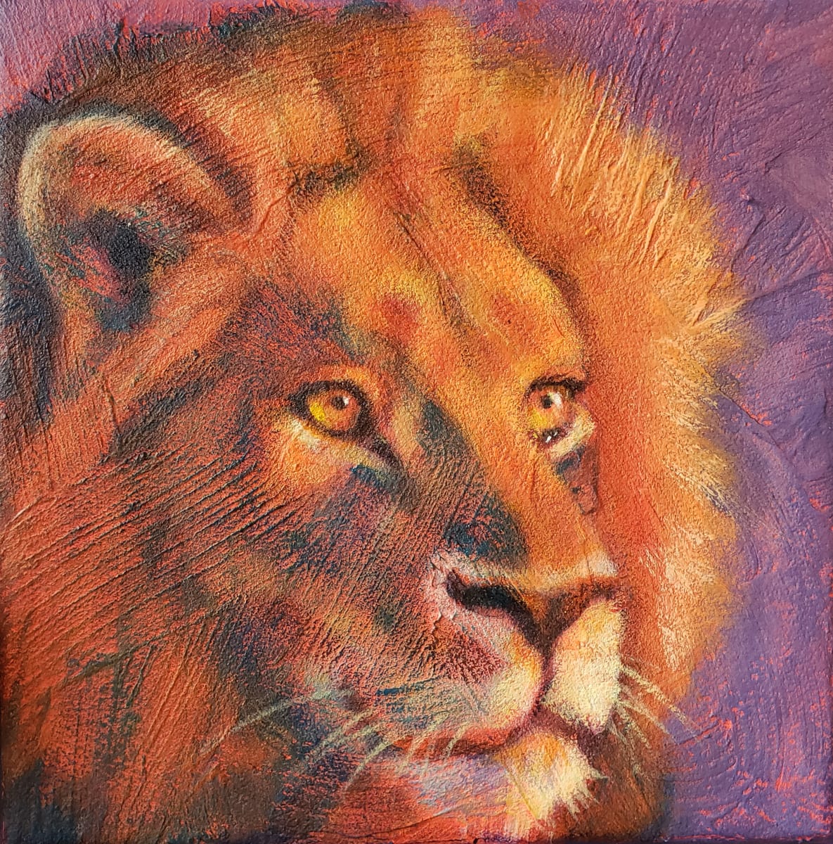 Setting Sun by Lisa Bohnwagner 