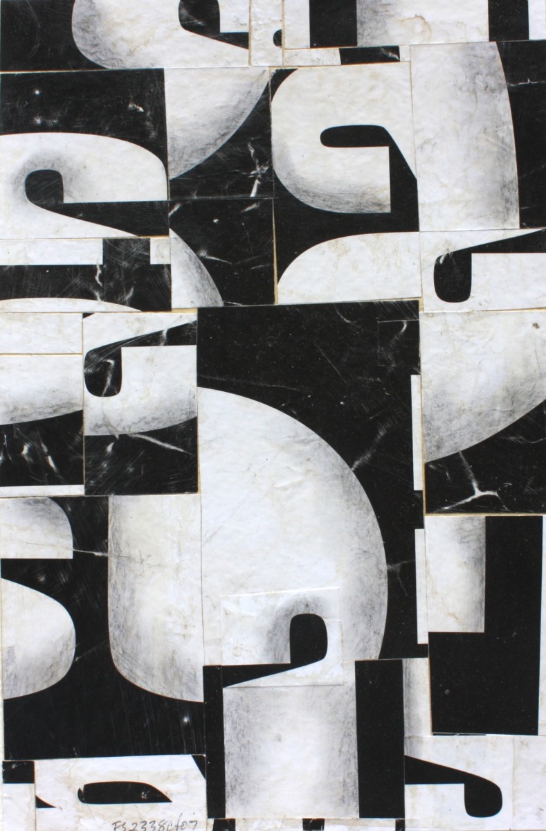 FS2338CT07 by Cecil Touchon 